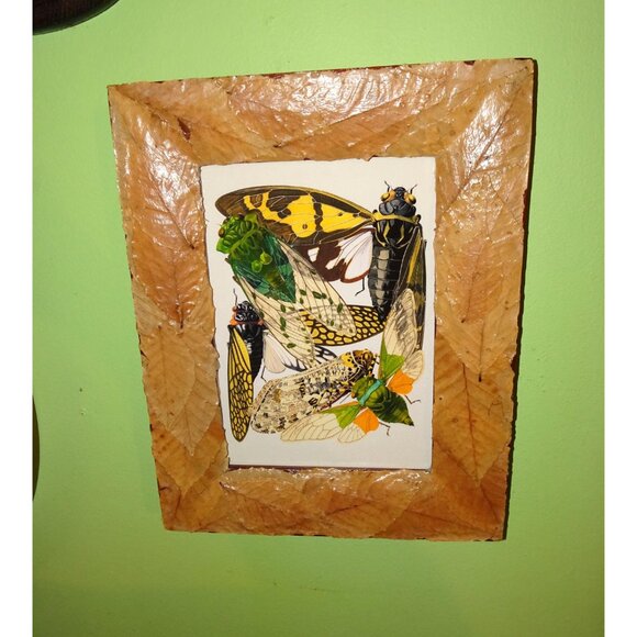 Vintage Art Print of Cicadas in Frame with Real Leaves goth witchy nature insect - Picture 6 of 10